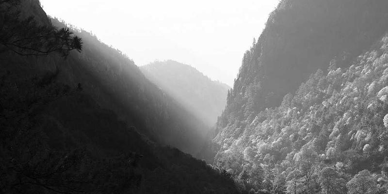 星球大战前传3：西斯的复仇